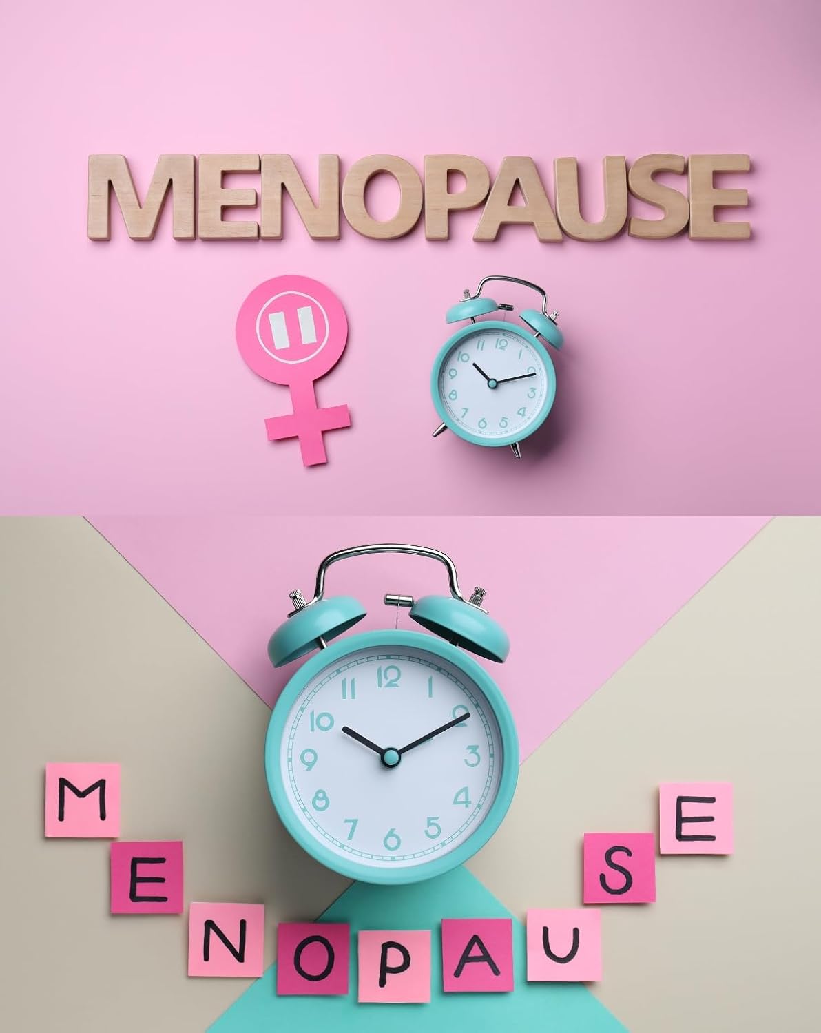 MENOPAUSE TEA FOR WOMEN - Natural menopause support, menopause and diet, vitamins to help with hot flashes menopause, women's hormone balance - 40 Premium Tea Sachets
