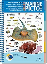 Download Pictolife Pacifique Tropical Ouest PDF