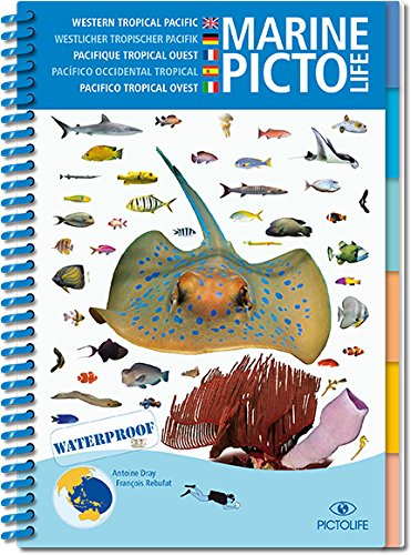 Télécharger Pictolife Pacifique Tropical Ouest livre En ligne