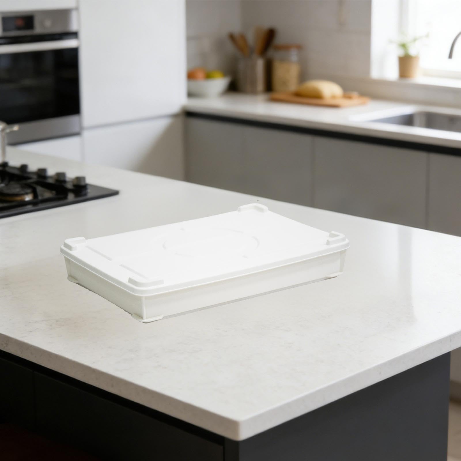 Pizza Scatola Lievitazione Impasto Contenitore Alimenti Vassoio Conservazione Cucina Accessori in Robusto Resistente a Basse Temperature Facile, Bianco Piccolo