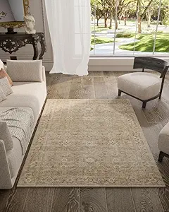 Washable Boho Bedroom Area Rugs: 3'x5' Entry Throw Rug Stain Resistant Tribal Distressed Accent Rug Non Slip Low Pile Soft Carpets for Entryway Living Room Bedside Kitchen Office Dorm Foyer Entrance
