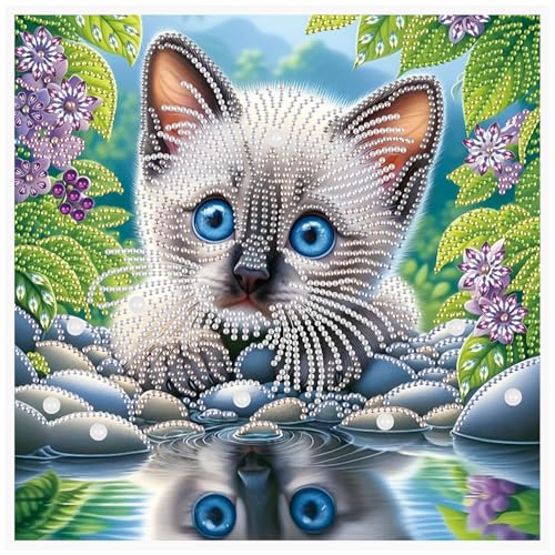 Image of Tontut Diamond Art Painting Kit, Blue Eyes Reflection Cat 5D DIY Special Shape Mosaic Crafts for Beginners and Adults, can be Gifted to Family and Friends, Great for Decorating Home and Office Walls