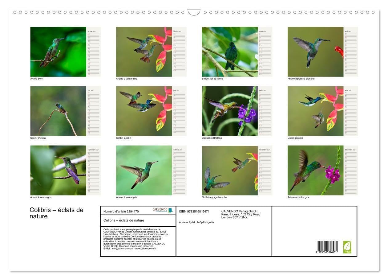 Colibris - éclats de nature (Calendrier mural 2027 DIN A2 vertical), CALVENDO calendrier mensuel: Joyaux de la forêt tropicale