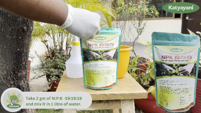 Amazon.com : Katyayani NPK 19 19 19 Plant Food Fertilizer with