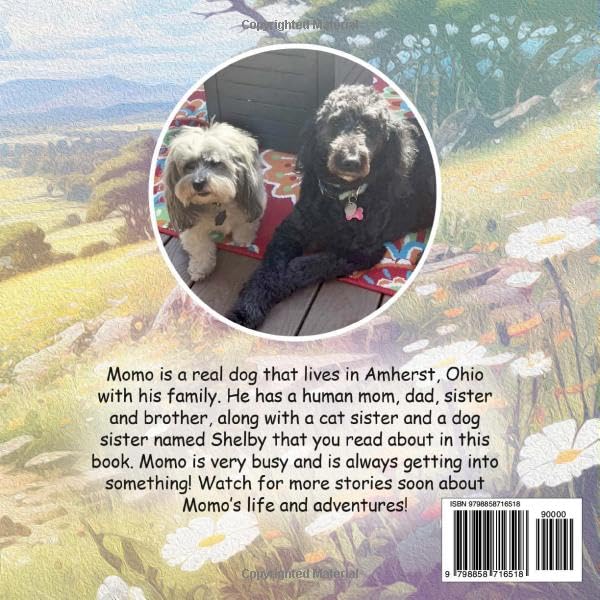 Vista 2 de Momo and Shelby (Momo Stories)