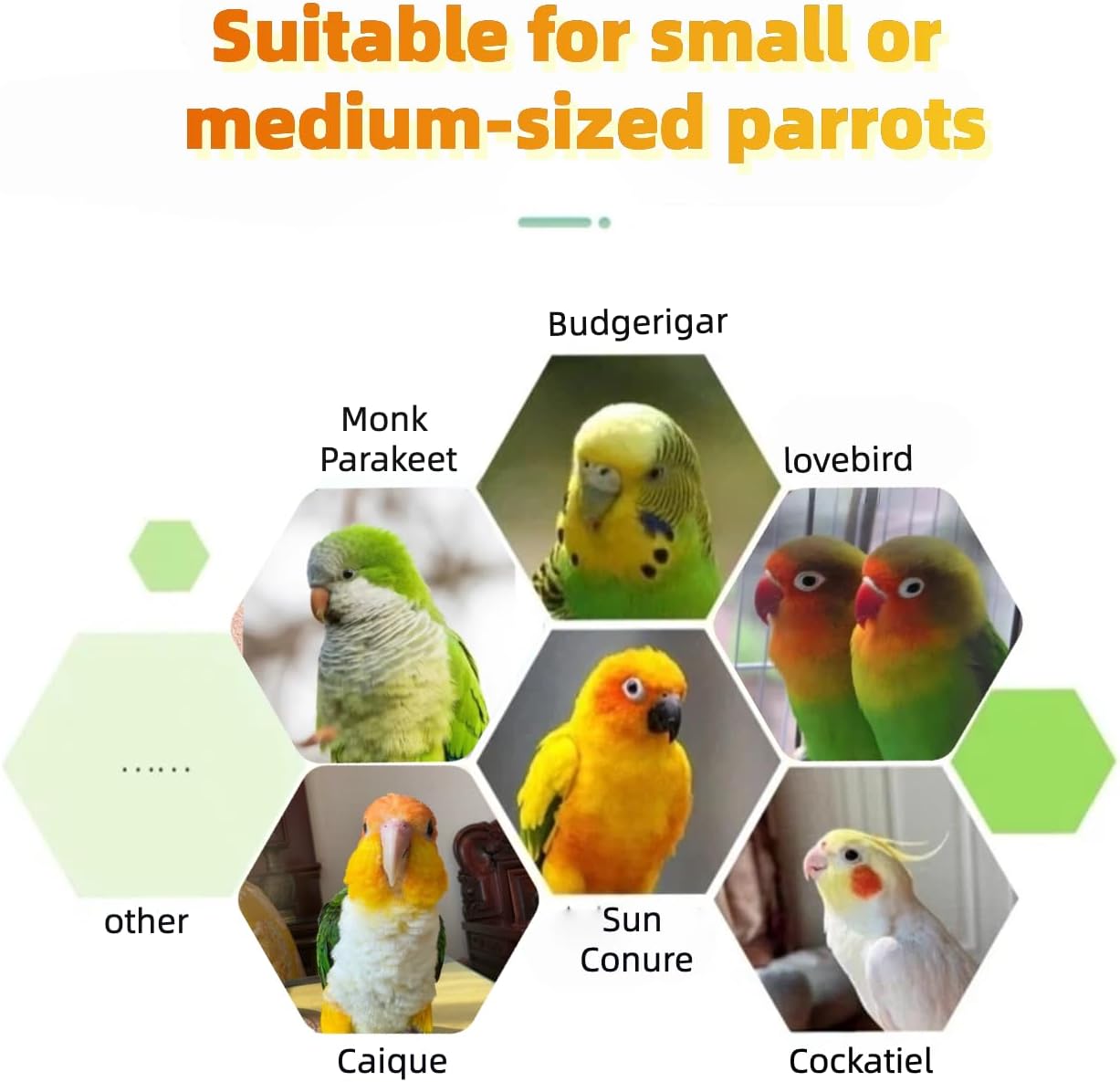 Multi-Level Bird Play Stand with Rope & Bell Toys | Natural Wooden Parrot Play Stand with Ladder & Swing | Ideal for Small to Medium Birds | Great for Cockatiels & Parakeets