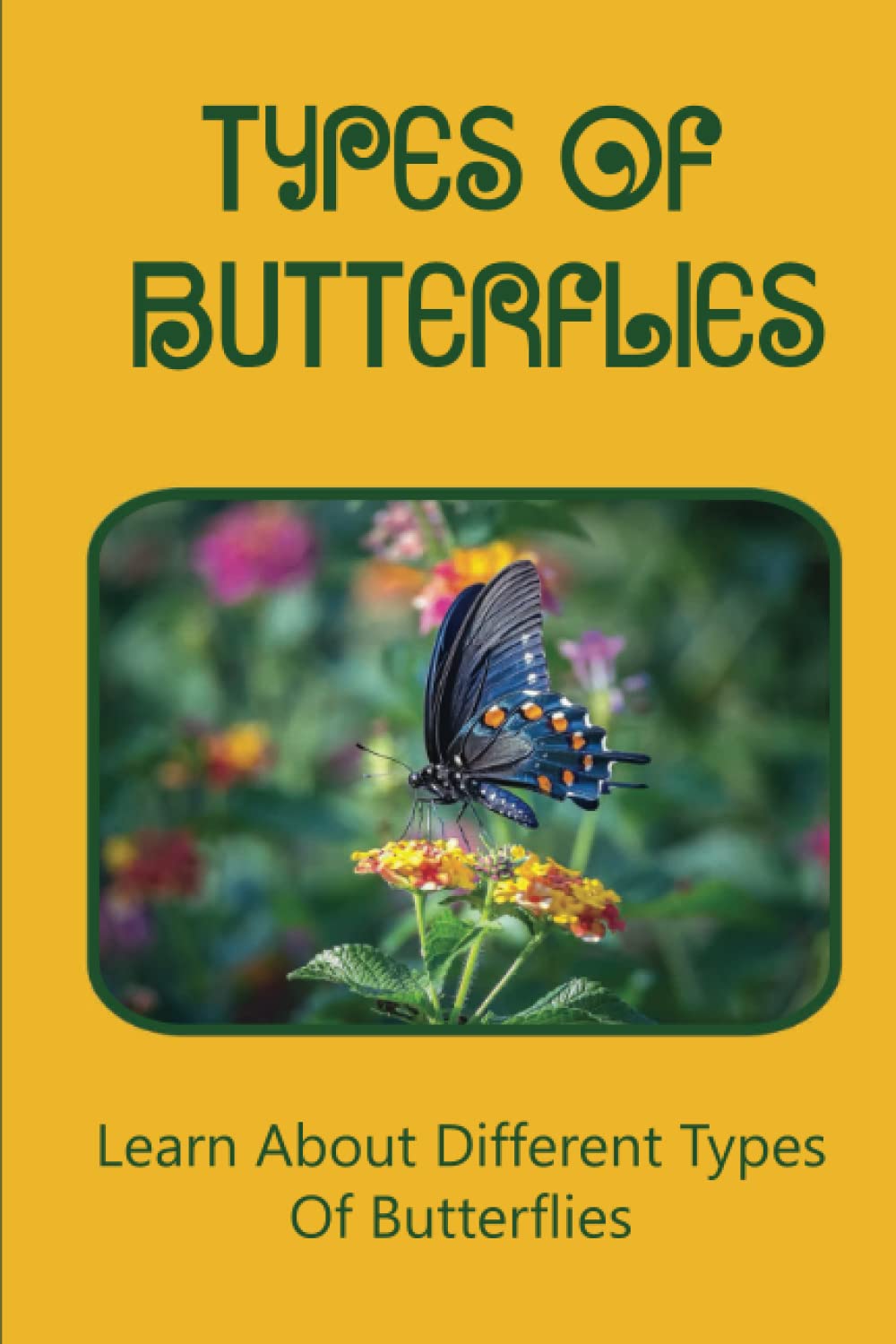 Types Of Butterflies: Learn About Different Types Of Butterflies