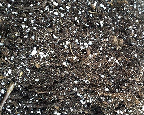 5 Liter Karnivorenerde - Spezialerde zur Kultivierung von fleischfressenden Pflanzen - Substrat handgemischt vom Spezialisten für Karnivoren, (Sonnentau, Venusfliegenfallen und Schlauchpflanzen)