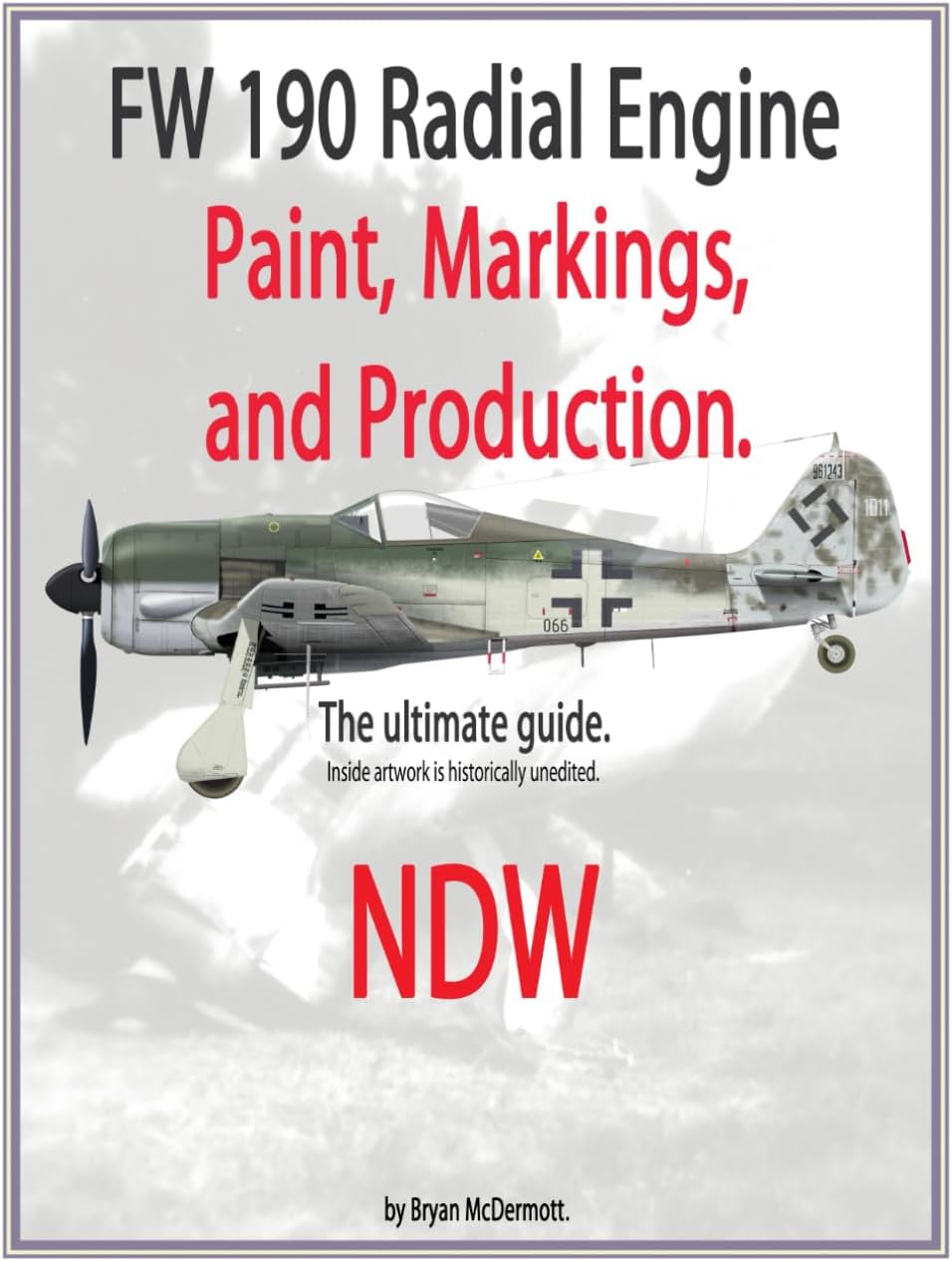 FW 190 Radial engine paint, markings, and production: NDW