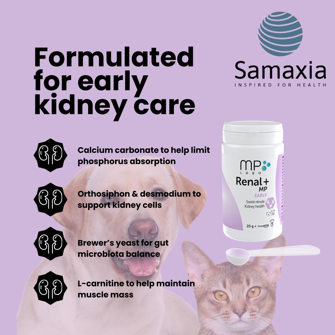 Renal+ MP Early for Dogs & Cats, Daily Kidney Support with B-Vitamins, Potassium & Omega-3 - Image 3