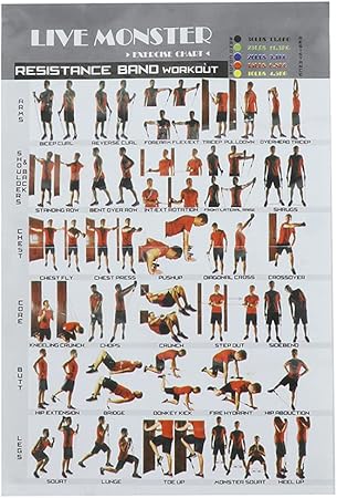 fotos de um iphone 3