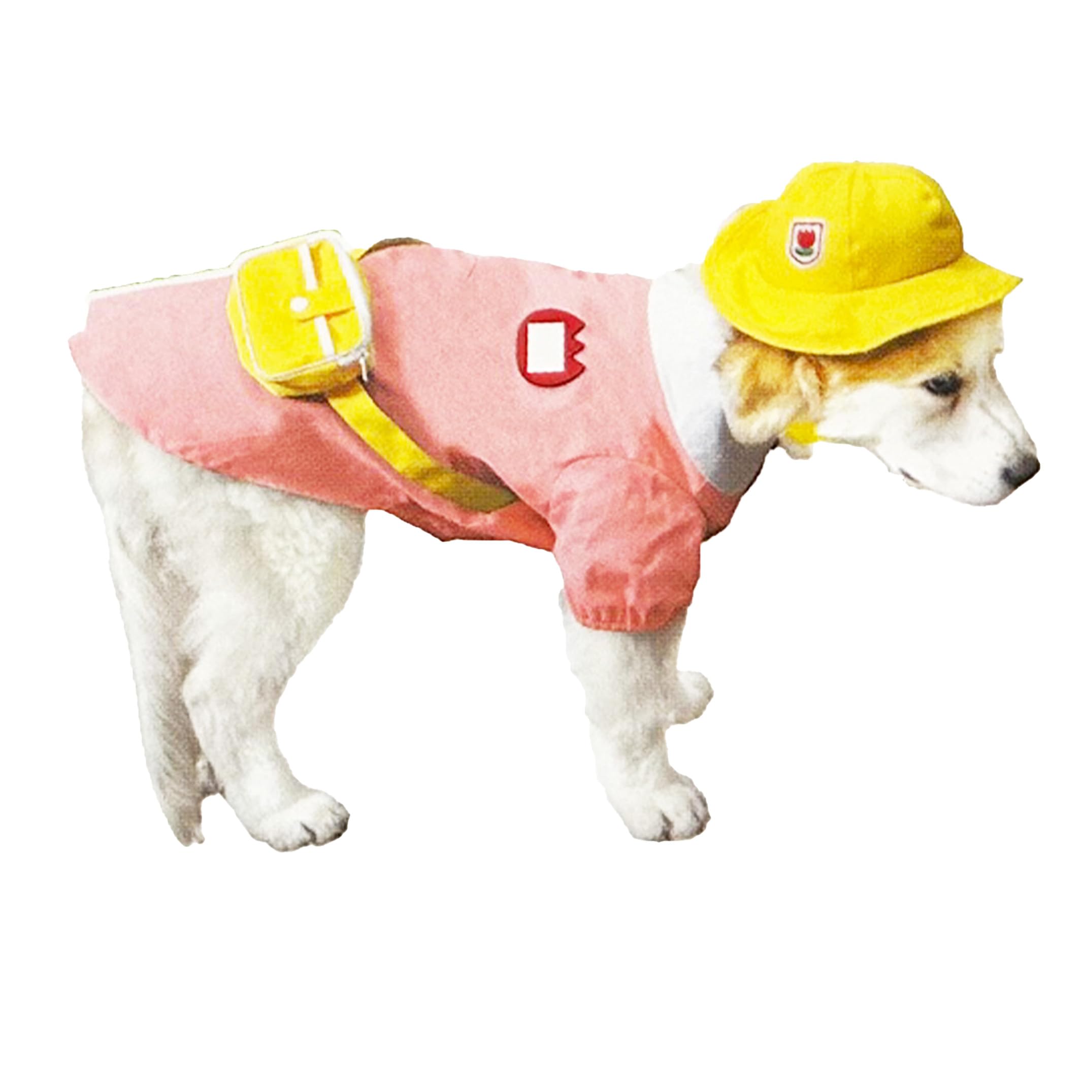 Amazon | 犬服 幼稚園スモック 可愛い おもしろ コスプレ 園児服