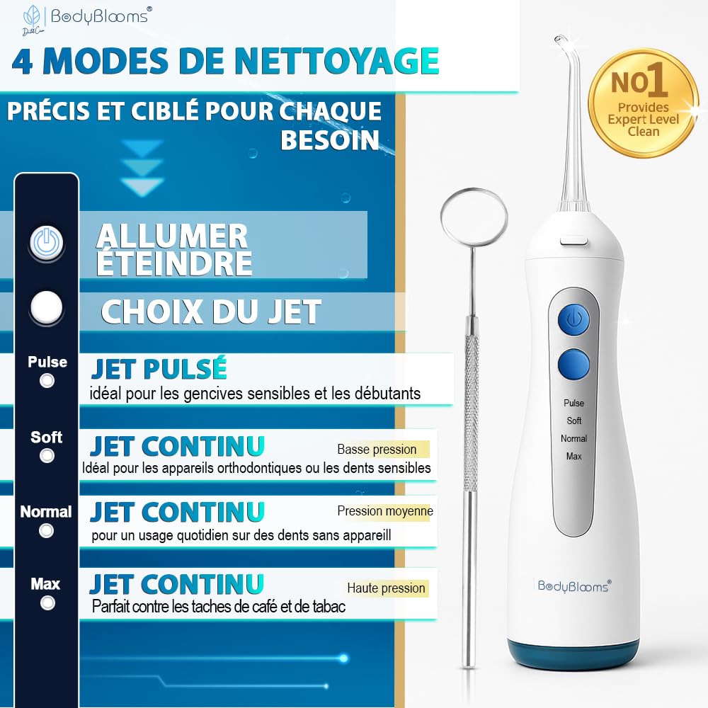 Hydropulseur dentaire DENTAL V-PRO 300 ml |Jet dentaire hydropulseur IPX-7,USB-C pour hygiene dentaire, cure dent |Hydropulseur avec 5 buses et 1 miroir dentaire | water flosser