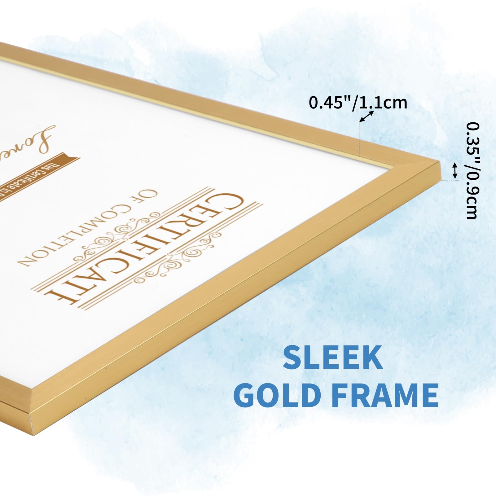Leeg Frame Voor Certificaat. Horizontaal Met één Zegel. Goudkleurig