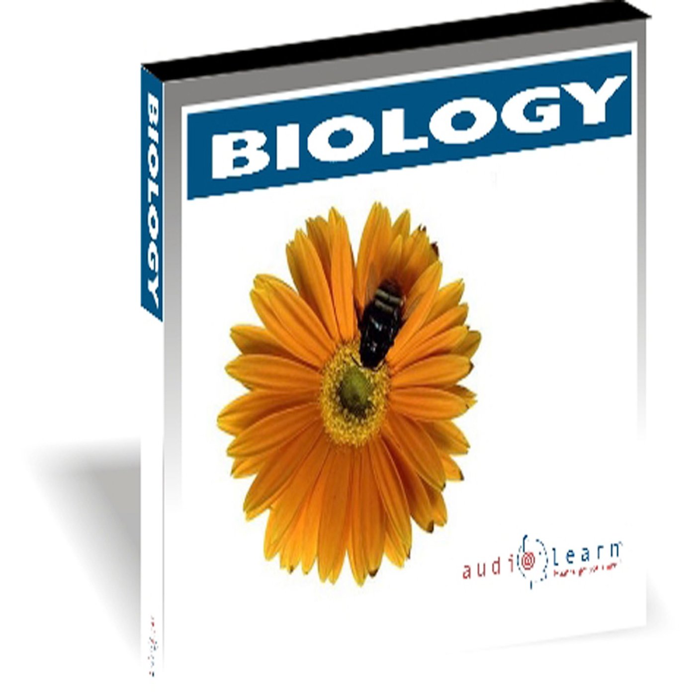 Cover art for Introduction to Biology AudioLearn Study Guide and Follow along Manual
