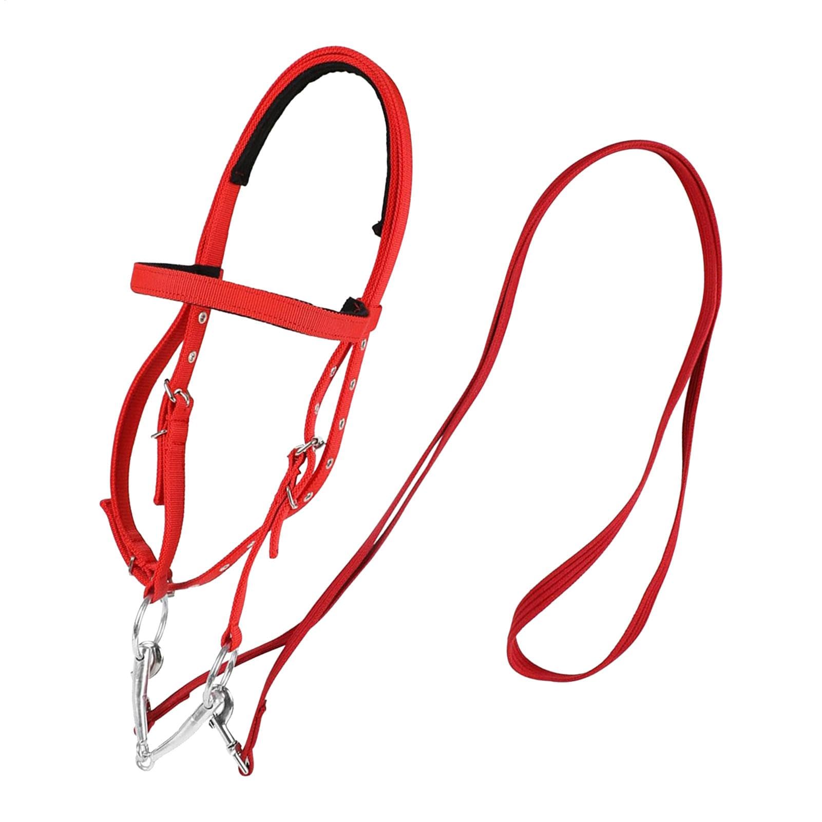 Bridles pour chevaux avec muserolle réglable et doublure douce pour extérieur - 8