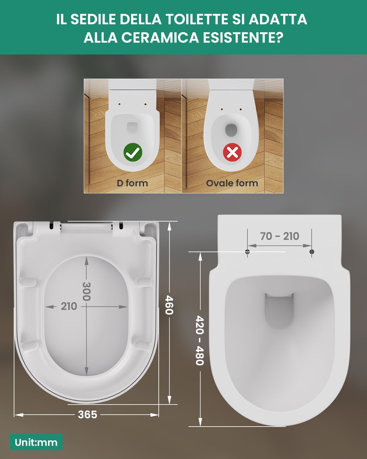 Anycee Asse per WC con sistema di abbassamento automatico - 46 x 36,5 cm - In Duroplast, antibatterico - A forma di D - Con apertura rapida - Lunette di WC universale - Bianco