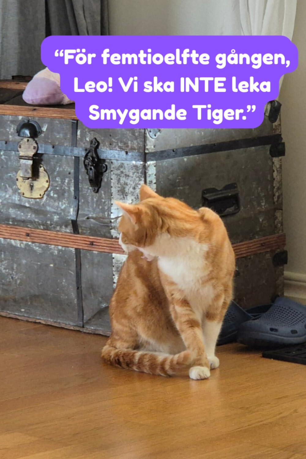 Vad Säger Djur?: Tvåan