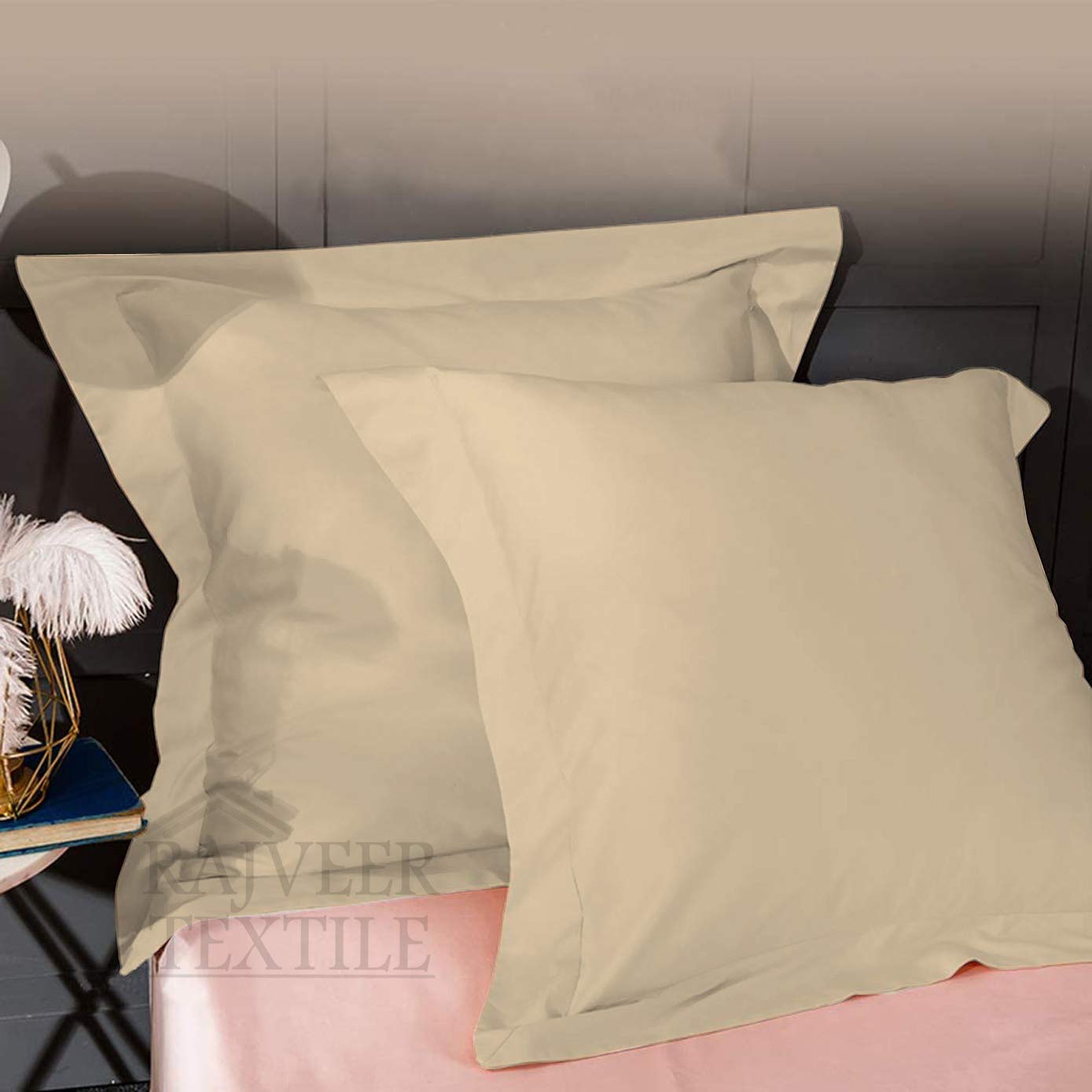 Rajveer Textile Beige Plain European Cushion Cover 2 Pieces Luxury 100% Egyptian Cotton, Super Soft Decorative (12 X 12 Inches) (B098PM1MDQ) Amazon Price History, Amazon Price Tracker