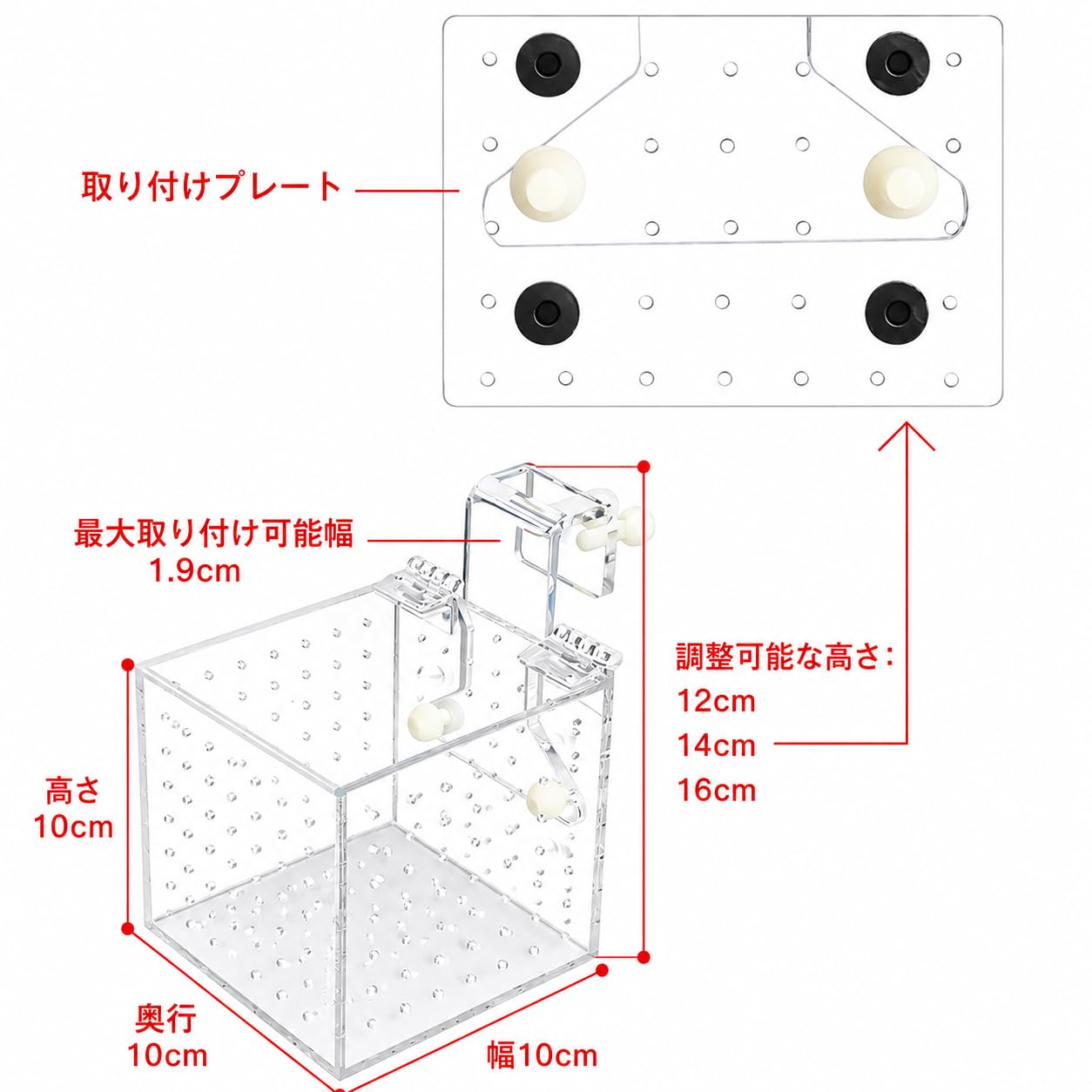 Amazon.co.jp: ZooooM 熱帯魚 隔離 BOX ボックス 穴あき ネジ 固定