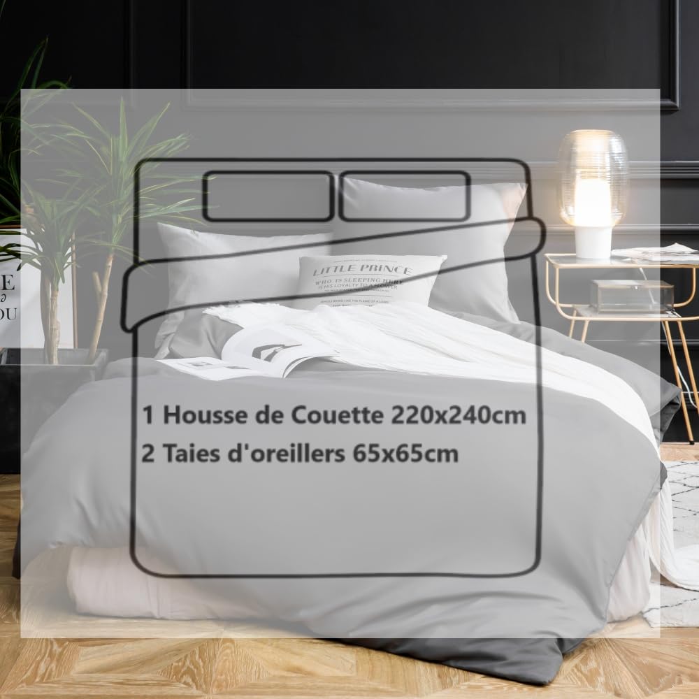 MOHAP Housse de Couette 220x240cm+2 Taies d'oreillers 65x65cm Beige Parure de Lit Adulte 2 Personnes 100 Fils/cm² en Microfibre avec Fermeture Éclair