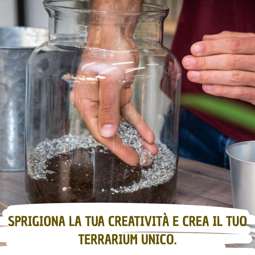 Kit Terrarium in Vetro con Tappo in Sughero, Ecosistema Autosufficiente per Piante, Kit Terrario Completo Senza Pianta, Arredo Naturale per la Casa,Giardino in vetro fai da te