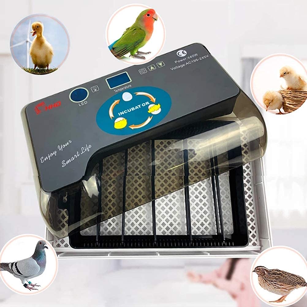 Incubatrice per Uova da 12 Litri Completamente Automatica, Piccola incubatrice per allevatori generici, Display della Temperatura per schiusa, polli, Anatre, oche, uccell
