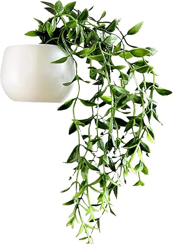 Imanes para nevera, plantas colgantes artificiales, imanes para refrigerador, suculentas falsas, imán para pizarra blanca, fuerte magnético para