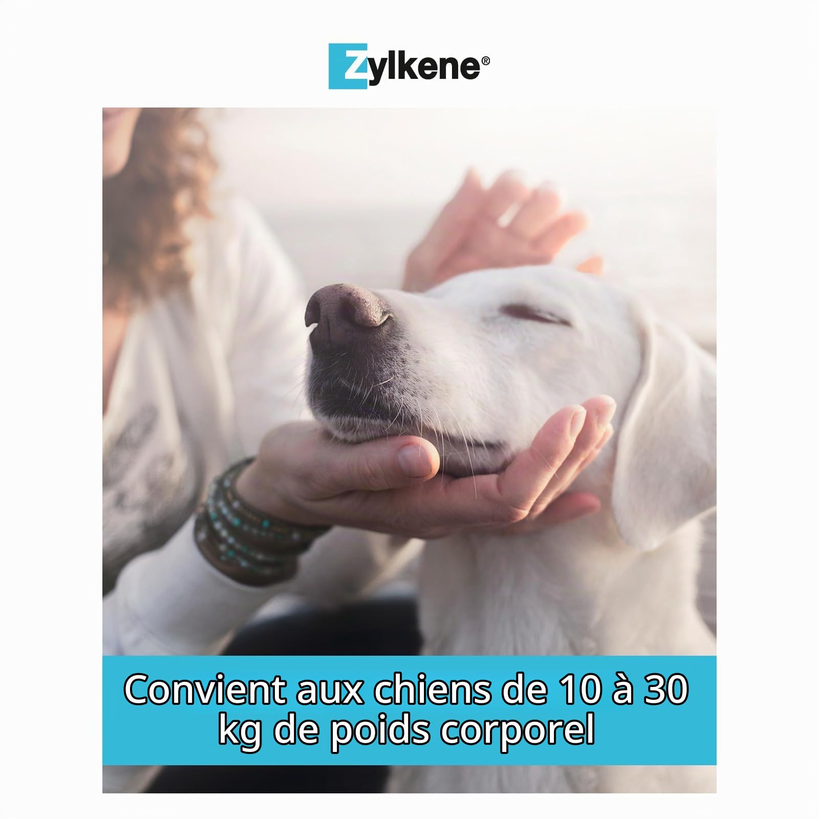 Vetoquinol Zylkene - Aliment Complémentaire Apaisant Ponctuel - Chiens Moyens de 10-30kg - Effet Calmant - Ingrédient d'origine Naturelle - 100 Gélules