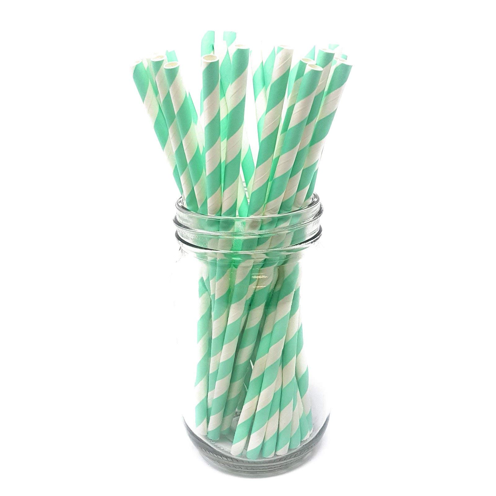 Picture Perfect Party Mint Green Stripes Premium Paper Straws [Pack Of 25 Drinking Straws] By (Mint Green Stripes)