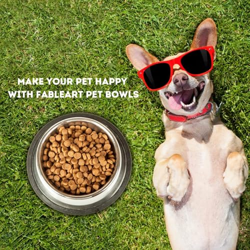 Image of Madhabi Stainless Steel Pet Bowl Set for Dogs and Cats, Size 5, Non-Slip Rubber Base, Rust-Free Food and Water Feeding Bowls, Chew-Proof No-Tip Design for Home and Outdoor Use - Pack of 2