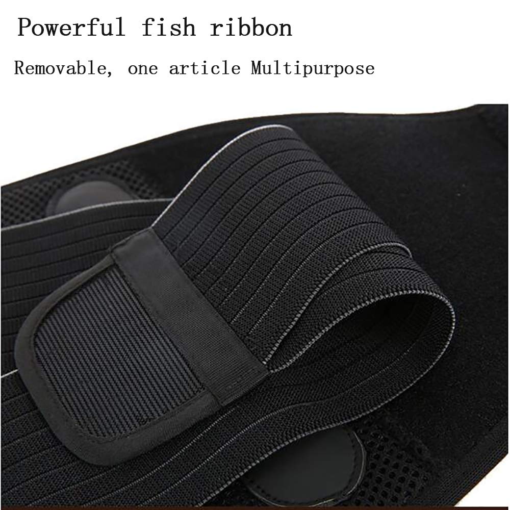 Faja Lumbar Fitness - Cinturón de Soporte para la Espalda Ajustable - para Gimnasio, Postura, Levantamiento, Trabajo, Alivio del Dolor - para Hernia de Disco,L