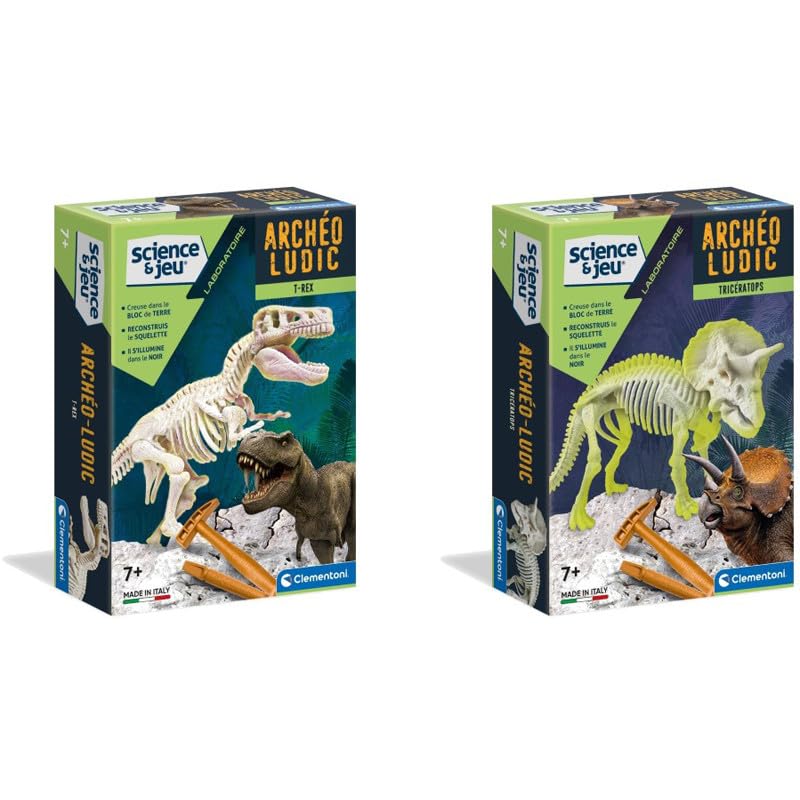 Educational Game  Archaeo Ludic Fluorescent Dinosaur  Random Model