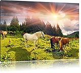 Pixxprint Mustangs Pferde auf den Bergen als Leinwandbild | Größe: 80x60 cm | Wandbild | Kunstdruck | fertig bespannt