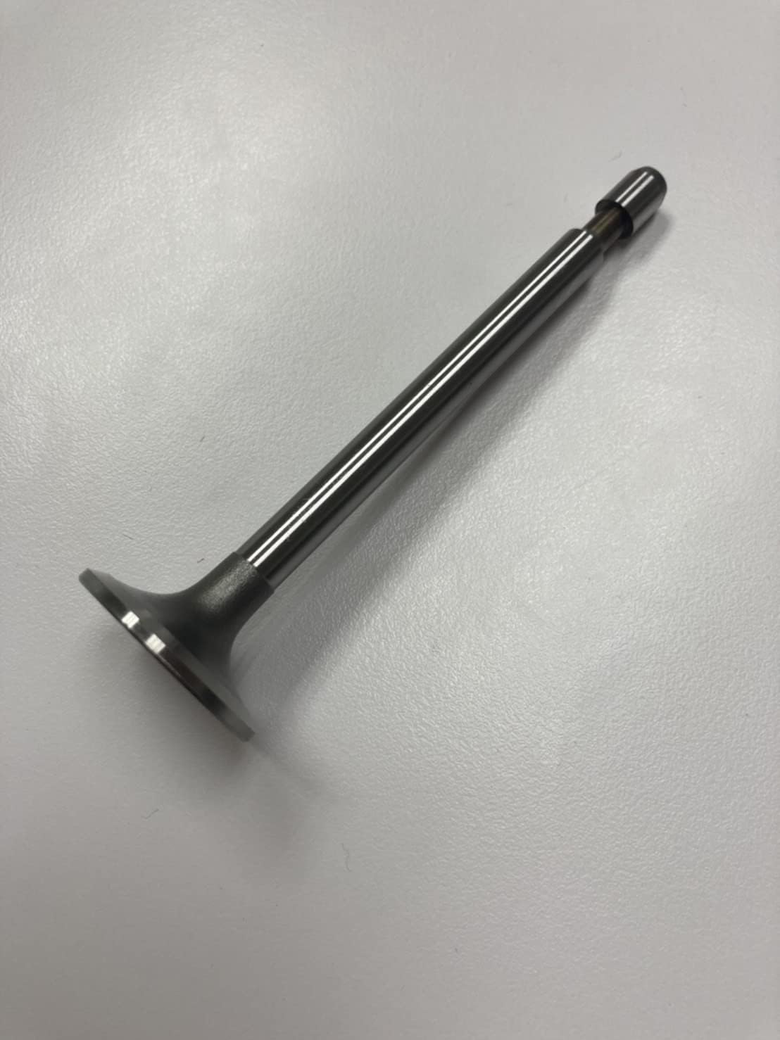 GardenPal 261055 Intake Valve, Valve IN for B&S 8HP, Replace OEM 261055S Compatible with Toro Snowthrower, B&S 401437 401707 401417 Series Engine