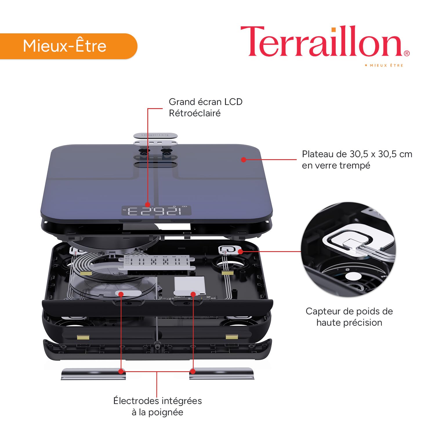 TERRAILLON - MASTER COACH EXPERT- Balance connectée Wi-Fi, 8 Electrodes invisibles, Analyse des masses graisseuse, musculaire, hydrique, osseuse et viscérale, IMC, Capacité 180 kg, Plateau verre, Bleu