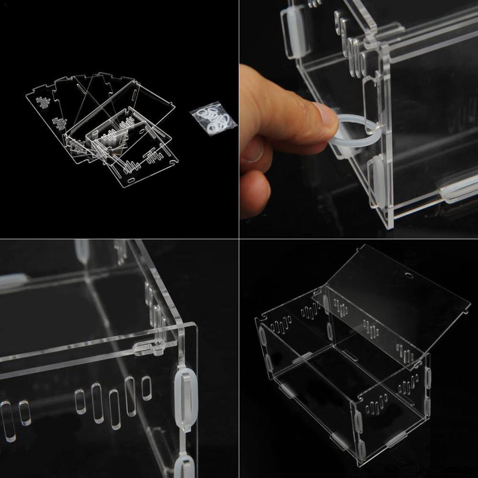 SCATOLA DI ALIMENTAZIONE Rettili Anti Fuga Trasparente Ragno Ragno Rana