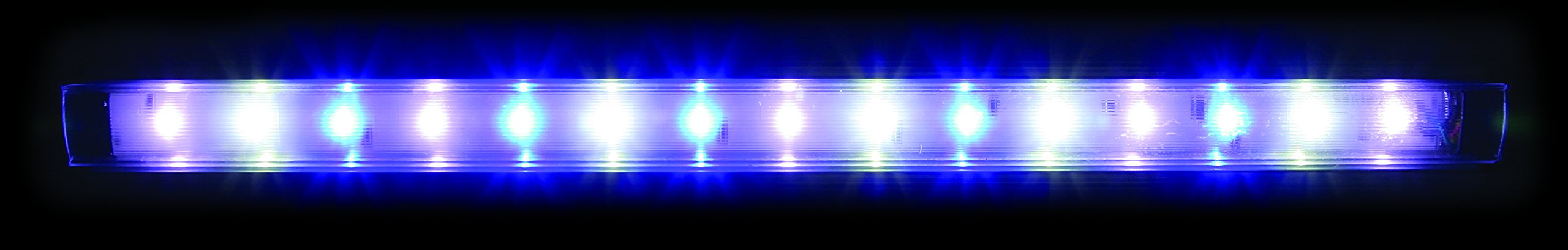Arcadia LED Leuchte Series 5 Strip Marine White 39 Watt 830mm Aquarien Aquarium Beleuchtung