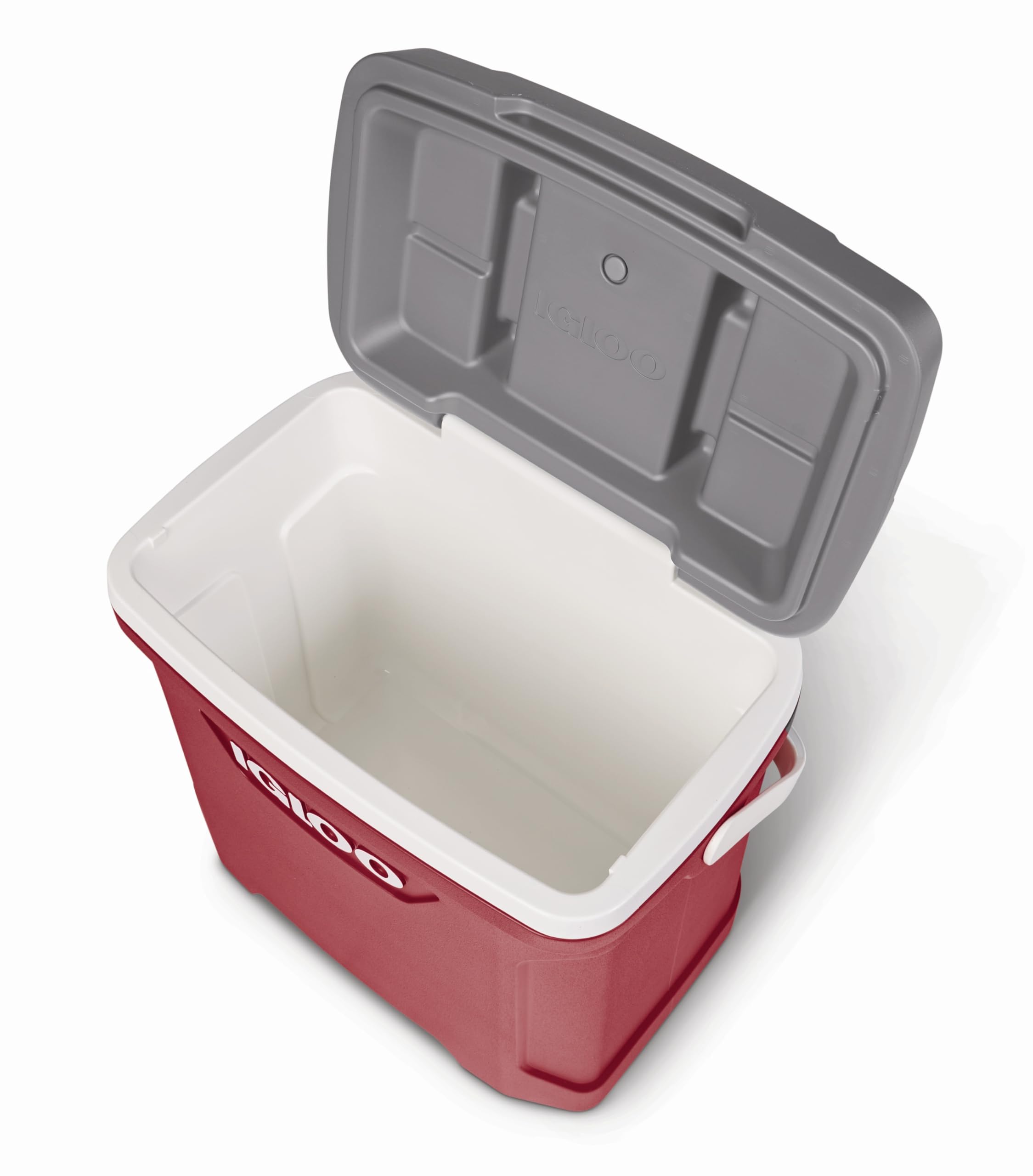Igloo Latitude - Contenitore frigo portatile passivo – Thermobox – mantiene i cubetti di ghiaccio congelati per giorni – Borsa frigo per spiaggia, picnic, parco, campeggio