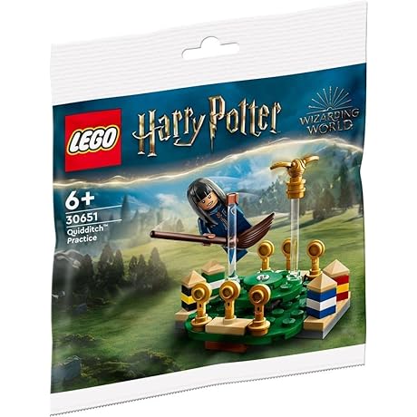 ZGZZPETT Lego Harry Potter Quidditch Practice 30651 Polybag