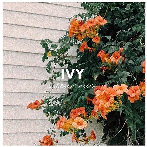 Ivy
