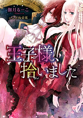 王子様、拾いました (ヴァニラ文庫)