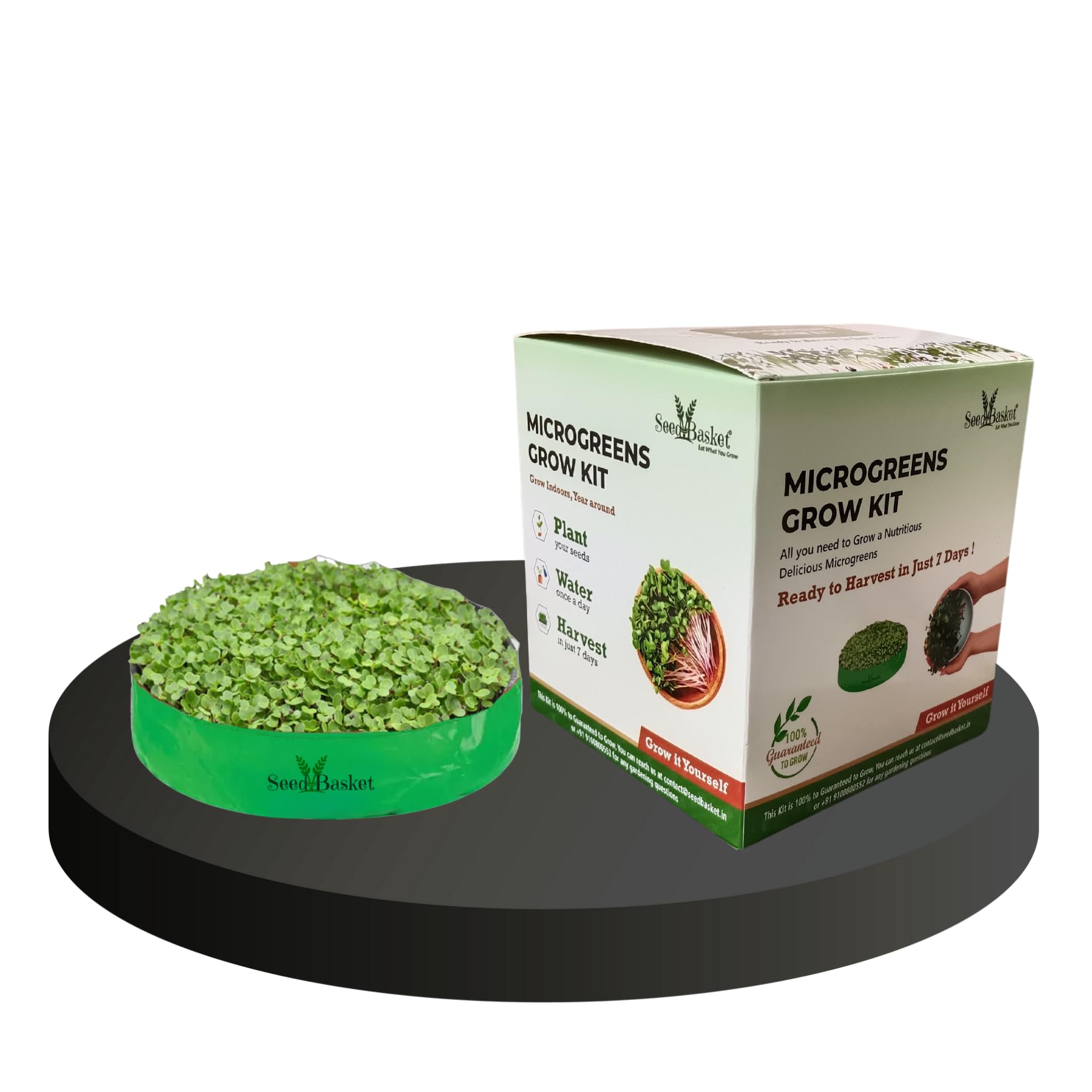 Seed Basket Complete Microgreens Growing Diy Kit With 3 Types Of Seeds| 2 Grow Bags | 1 Coco Block| 1 Water Spray Bottle And Instruction Manual (B0CJ99RYLT) Amazon Price History, Amazon Price Tracker