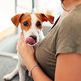 Virbac C.E.T. Zahnpasta | Mit Geflügelaroma für Hunde und Katzen | Patentiertes C.E.T. System
