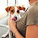 Virbac C.E.T. Zahnpasta | Mit Geflügelaroma für Hunde und Katzen | Patentiertes C.E.T. System