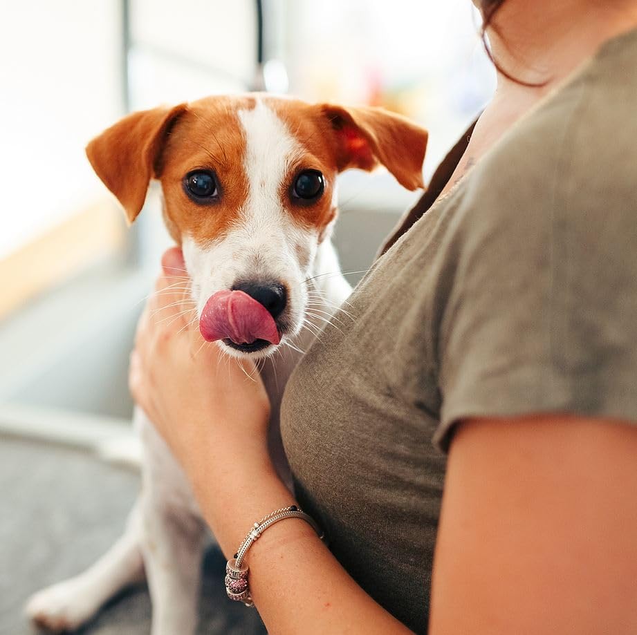 Virbac C.E.T. Zahnpasta | Mit Geflügelaroma für Hunde und Katzen | Patentiertes C.E.T. System