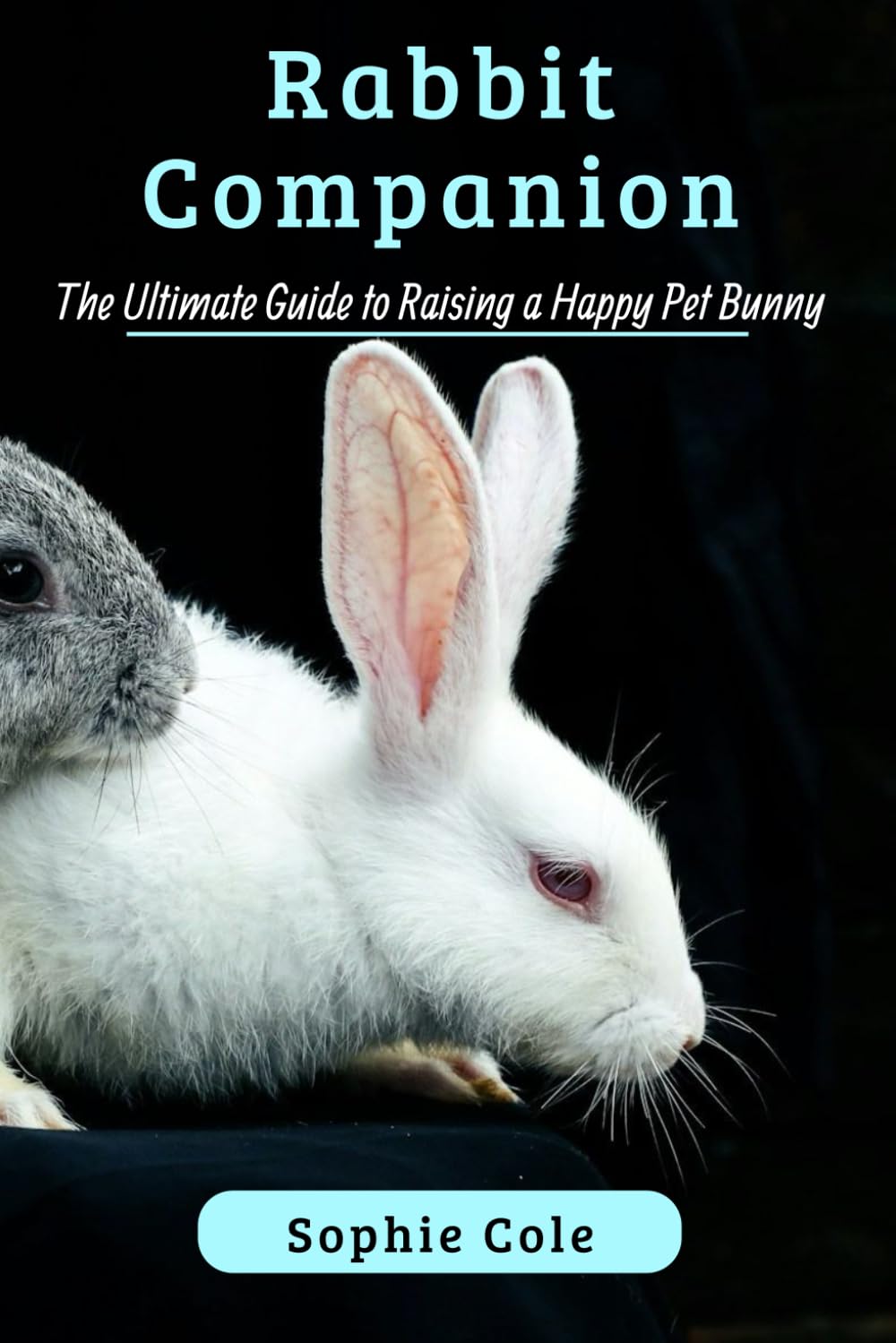 Rabbit Companion: The Ultimate Guide to Raising a Happy Pet Bunny
