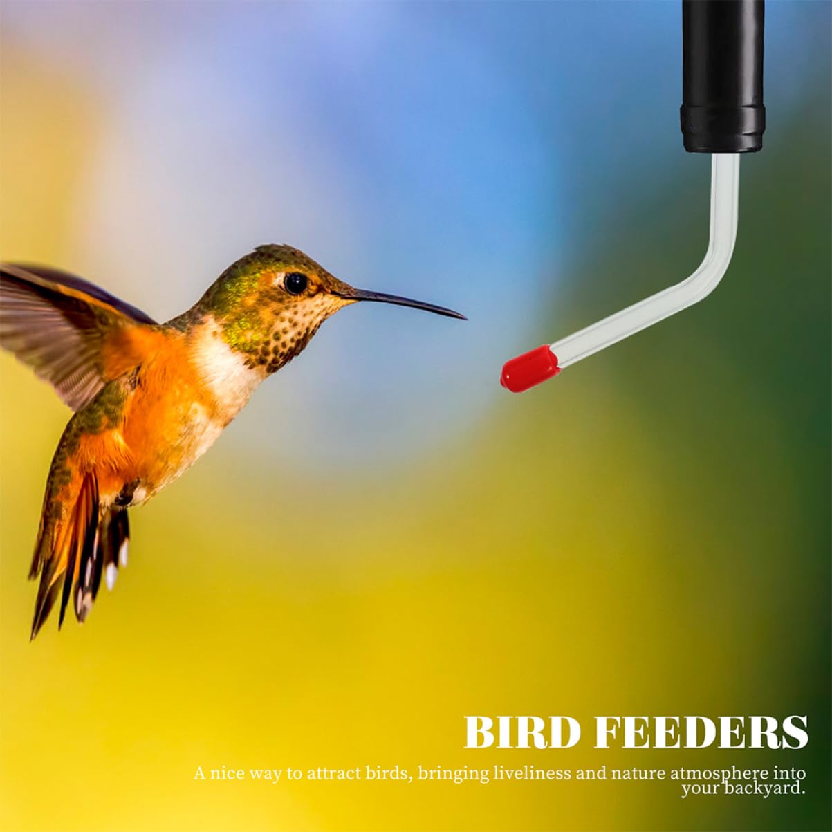 YARNOW 3 Set Di Mangiatoie Per Colibrì in Tubi Per L'acqua Per Uccelli All'aperto Per Una Comoda Alimentazione Degli Uccelli 2 Pezzi * 3