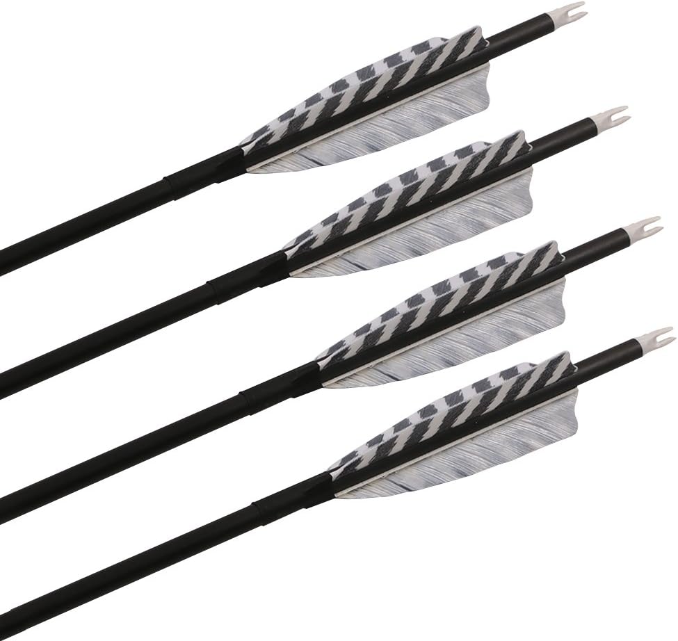 32 Inch Carbon Archery Arrows，Spine 400 with Removable Tips, 4inch Turkey Feather, Hunting and Target Practice Arrows for Compound Bow and Recurve Bow, 6 Pack