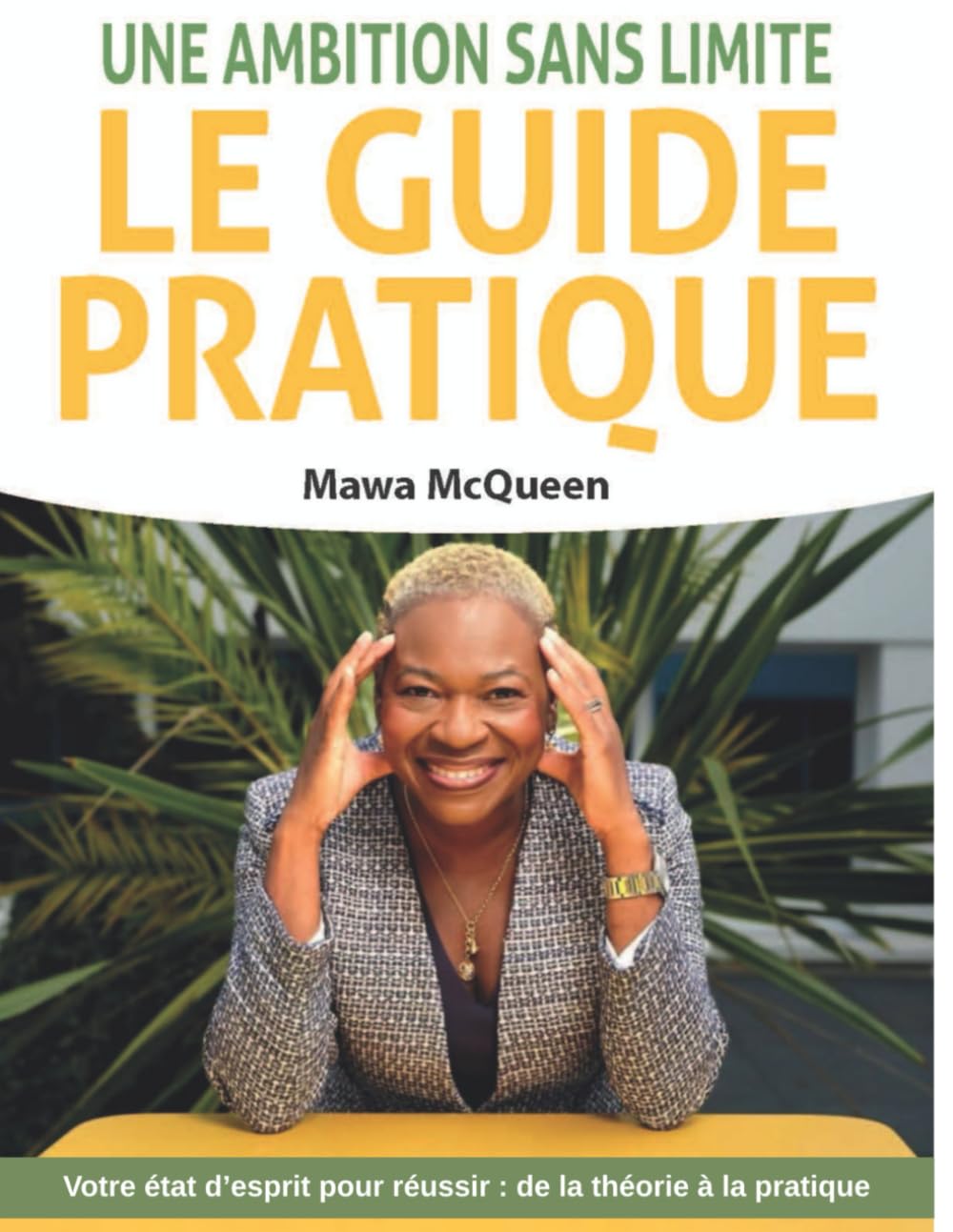 Une Ambition Sans Limite : Le Guide Pratique: Votre état d'esprit pour réussir : de la théorie à la pratique